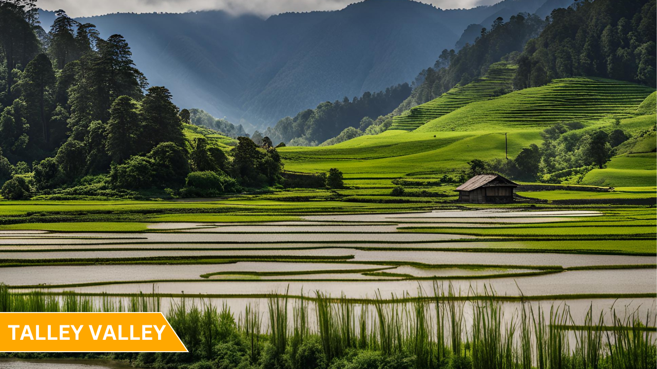 10 BEST Places to Visit in zero | Ziro Valley Tourism