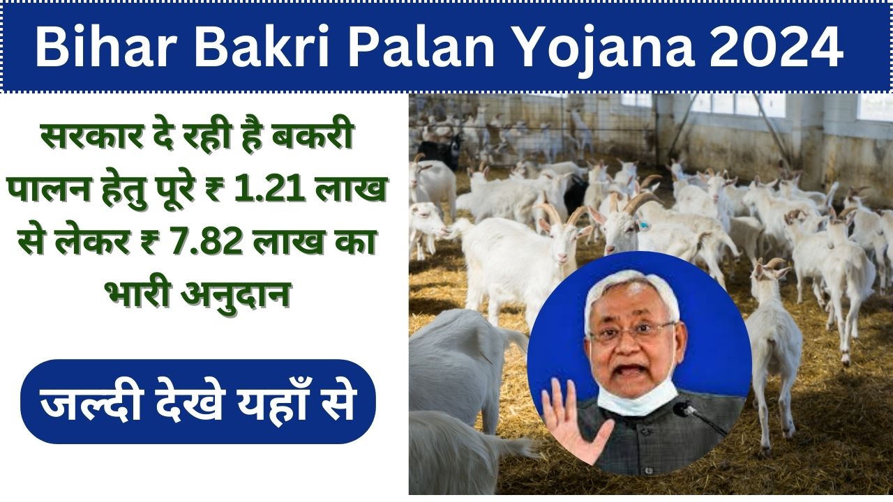 Bihar Bakri Palan Yojana 2024 online apply: 60% की सब्सिडी बकरी पालन के लिए, यहां से जल्दी-जल्दी करें आवेदन