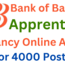 Bank of Baroda Apprentice Vacancy 2025 Online Apply for 4000 Posts, Check Full Details Here