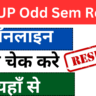 BTEUP Odd Sem Result 2025: बीटीयूपी ओड सेमेस्टर रिजल्ट इतने बजे लाइव, ऐसे चेक करे यहाँ से ?