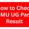 LNMU UG Part 3 Result 2022-25- How to Check LNMU UG Part 3 Result