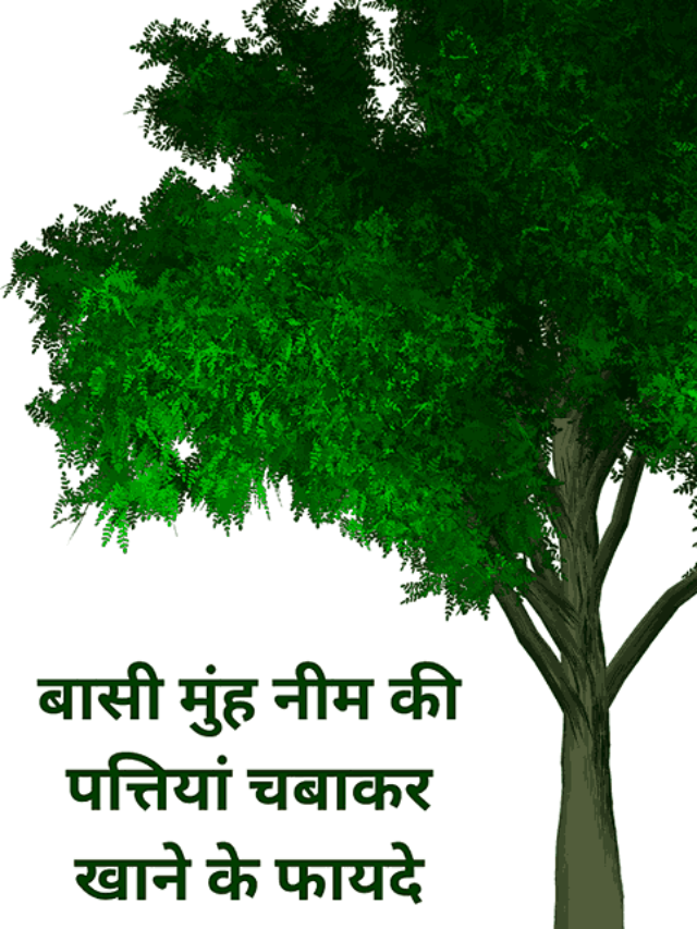 बासी मुंह नीम की पत्तियां चबाकर खाने के फायदे